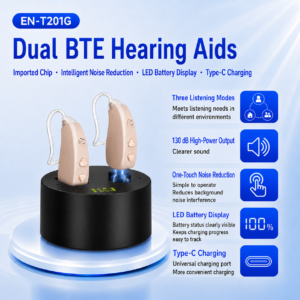 T201G Behind-The-Ear Hearing Aid