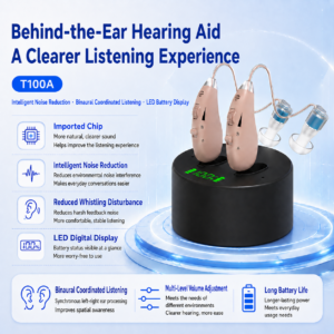 T100A BTE Hearing Aid