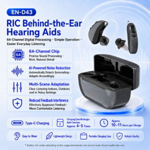 D43 RIC Hearing Aid